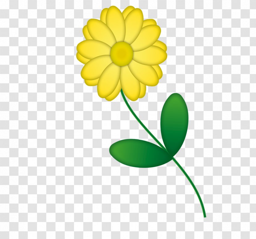 Yellow Blume Cut Flowers Red - Plant Stem - Flower Transparent PNG