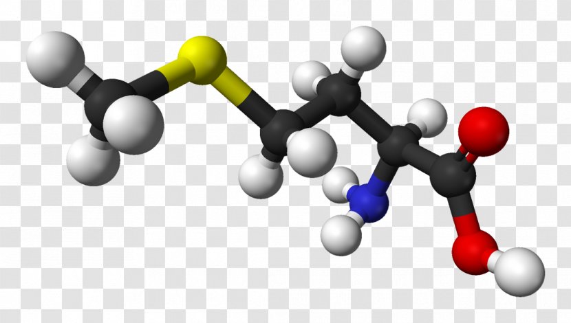 Methionine Essential Amino Acid Chemistry - Genetic Code - L Transparent PNG