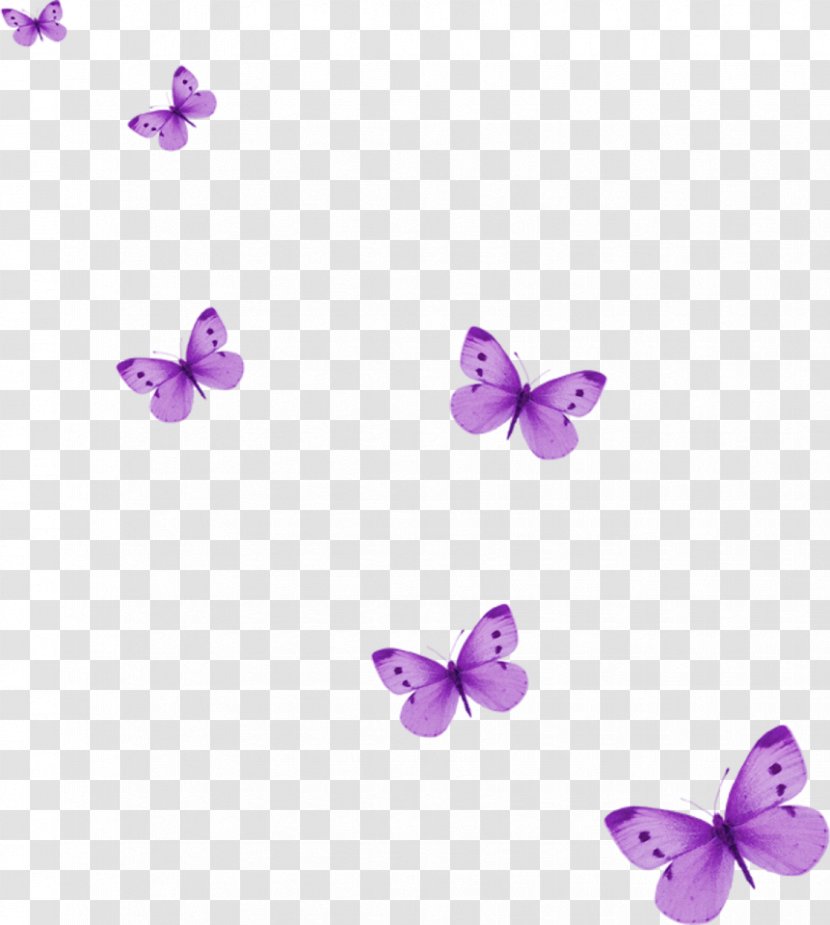 Butterfly Clip Art - Transparency And Translucency - Lilac Transparent PNG