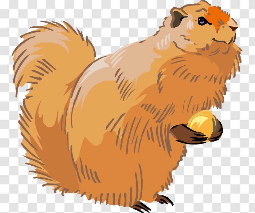 Squirrel Whiskers Lion Clip Art - Wing - Cute Pictures Of Turkeys Transparent PNG