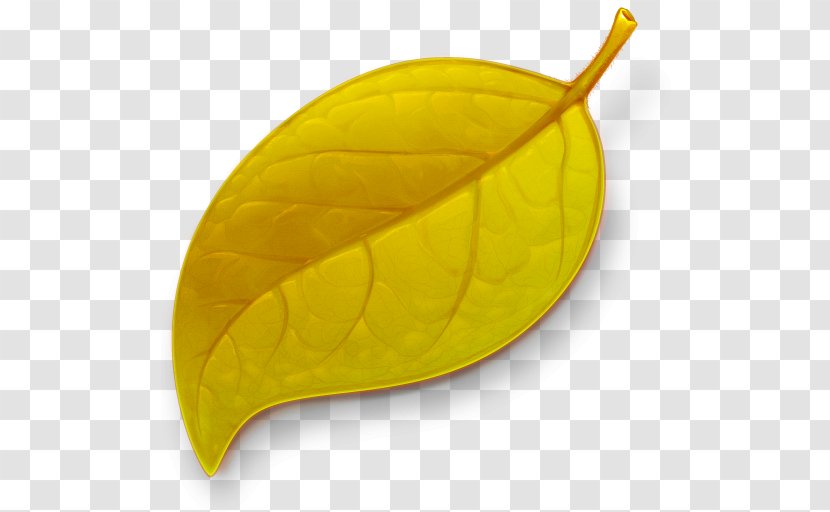 Coda MacOS Download Icon - Adobe Dreamweaver - Autumn Leaves Transparent PNG