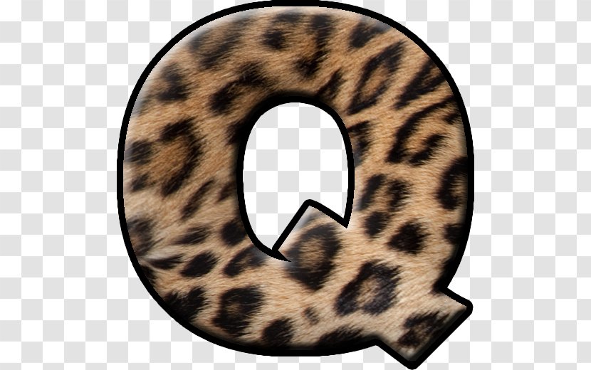 Cat Fur Terrestrial Animal Neck Font - Like Mammal Transparent PNG