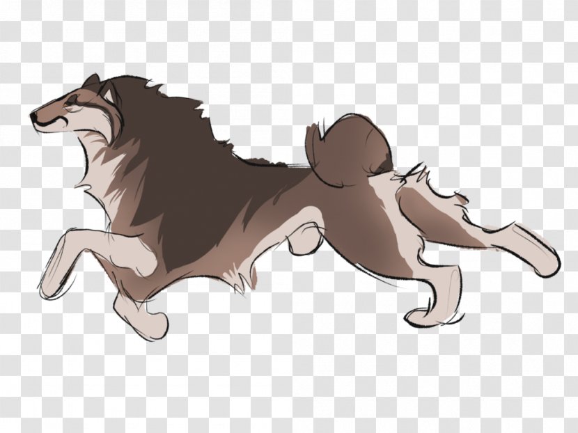 Dog Lion Cat Horse Mammal - Like Transparent PNG