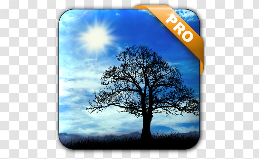 Pixel Dungeon Desktop Wallpaper Android Swipe To - Woody Plant - Sea Blue Sky Transparent PNG