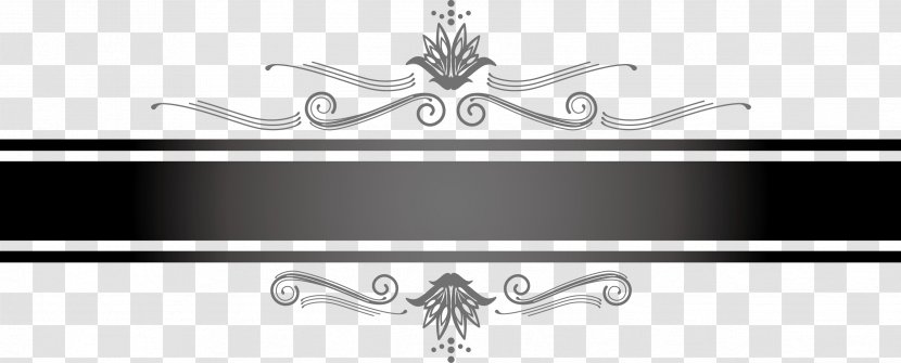 Black And White Line Art - Hand Painted Lines Transparent PNG