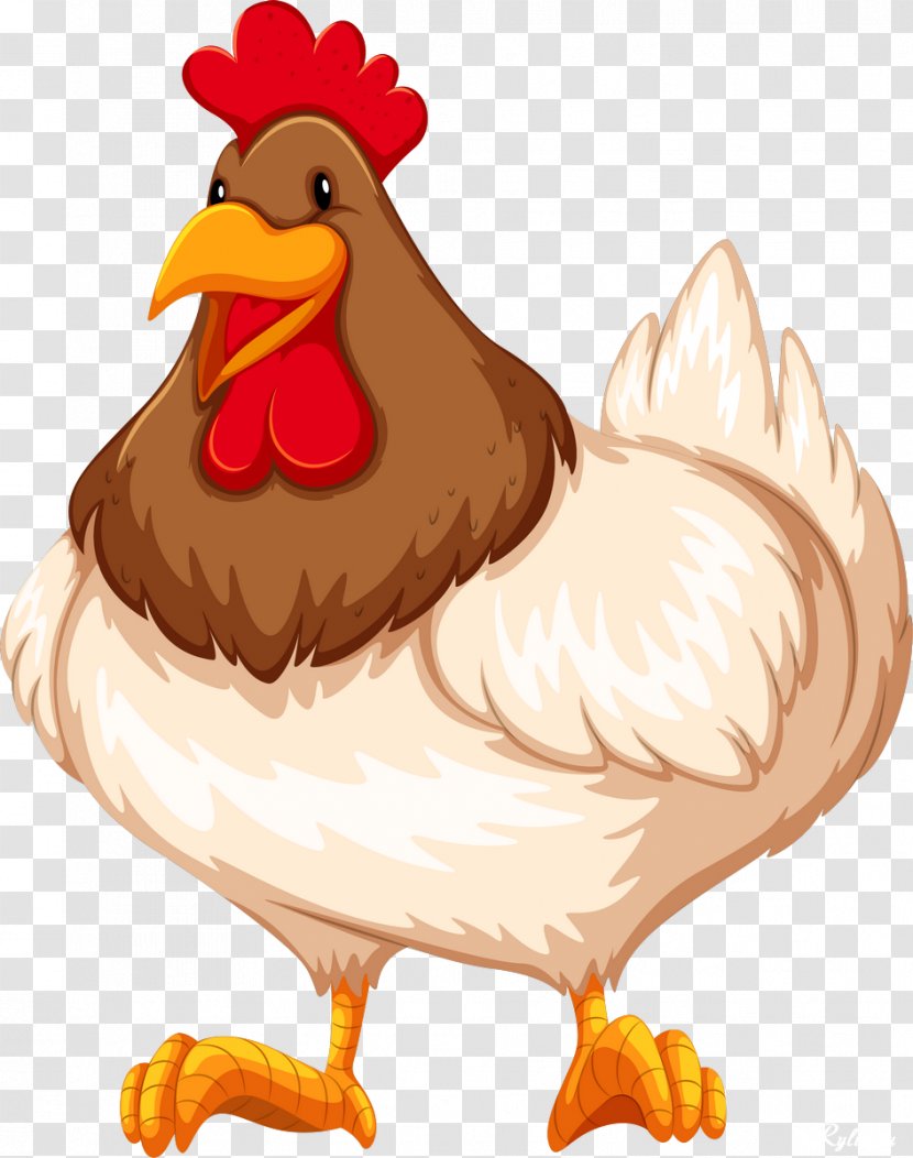 Chicken Buffalo Wing Rooster Clip Art Transparent PNG