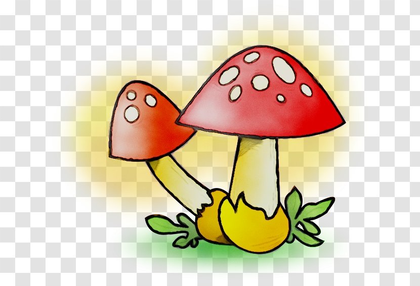 Edible Mushroom Drawing Clip Art Vector Graphics - Festival - True Morels Transparent PNG