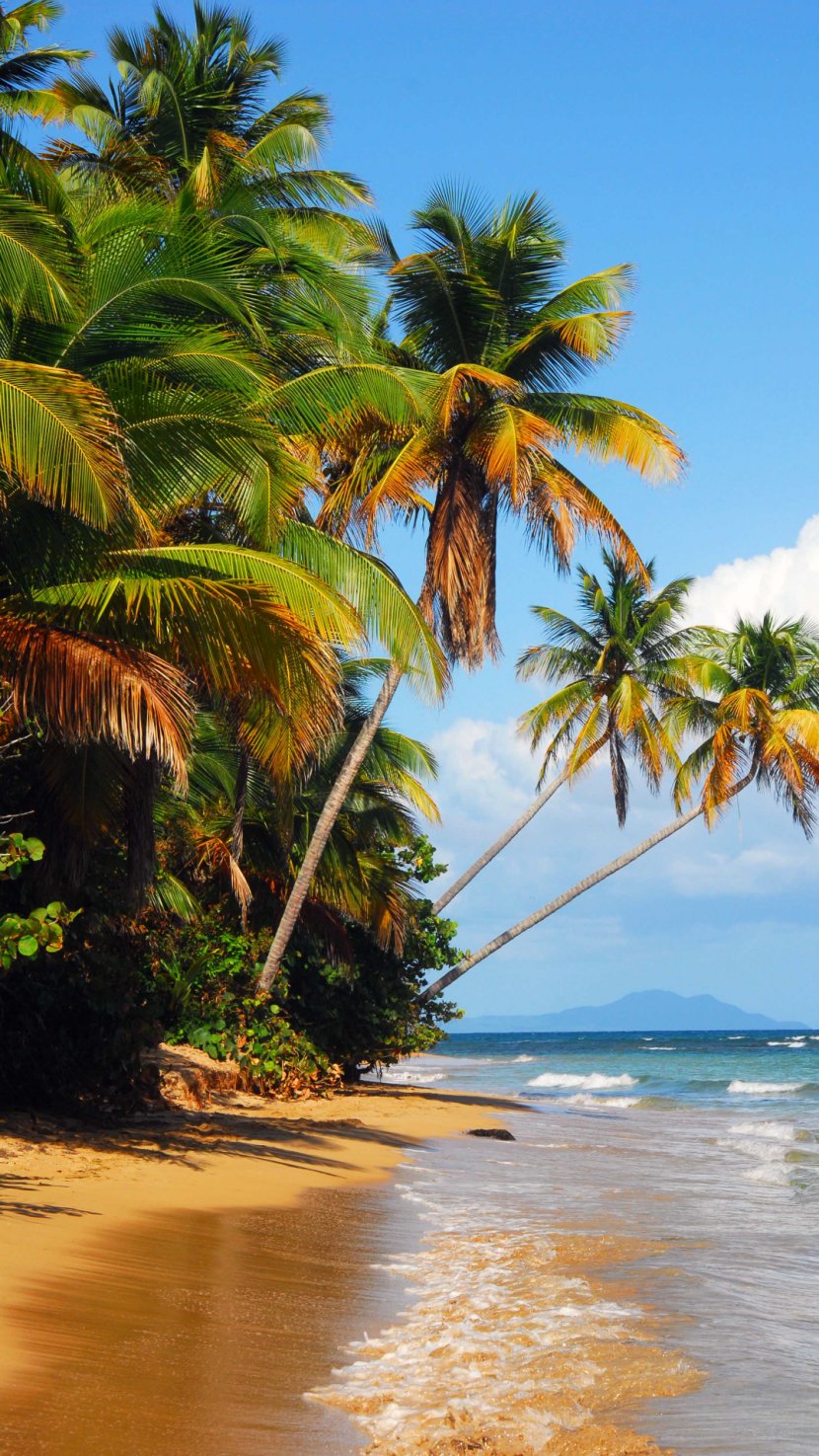 Iphone 6 Plus Culebra Desktop Wallpaper Beach 4k Resolution Beaches Transparent Png