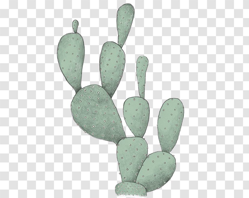 Nopal - Flower - Prickly Pear Opuntia Transparent PNG