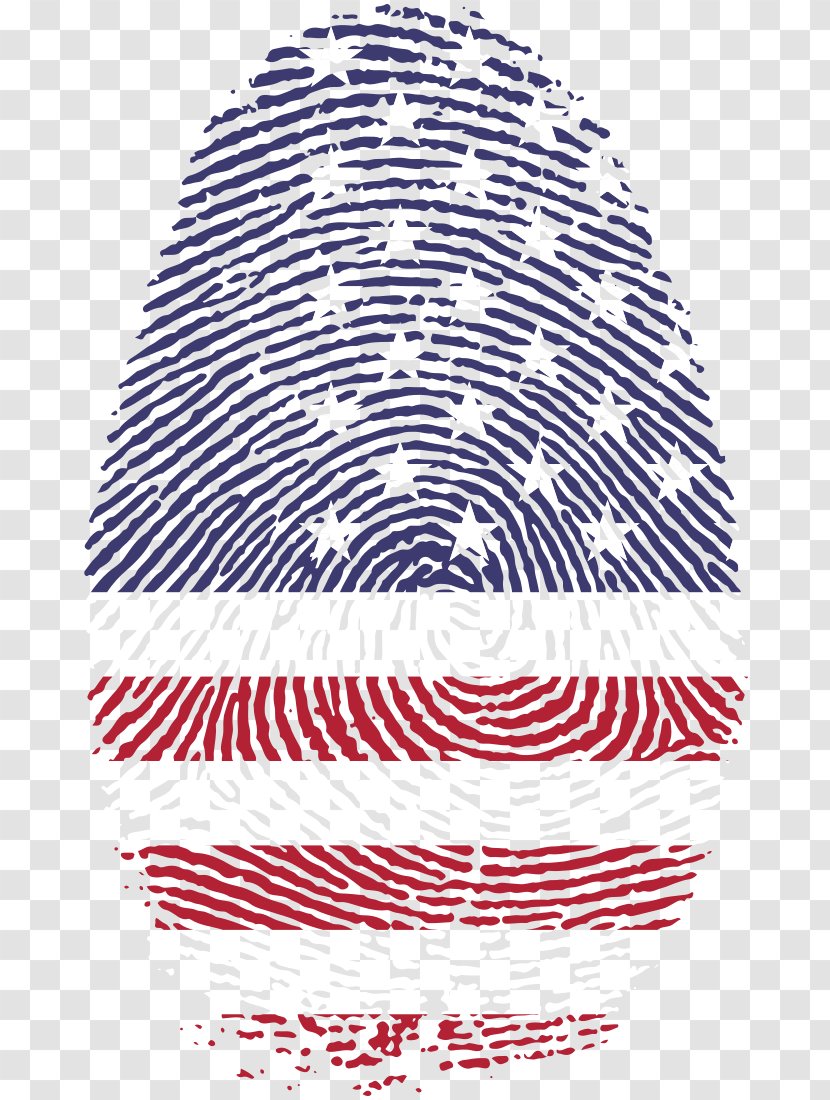 United States Fingerprint Detective Clip Art - Finger Transparent PNG