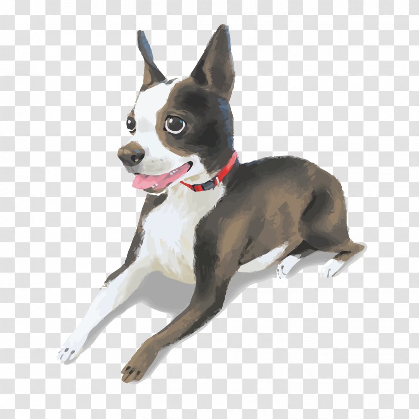 Boston Terrier Vecteur - Vector Cartoon Dog Transparent PNG