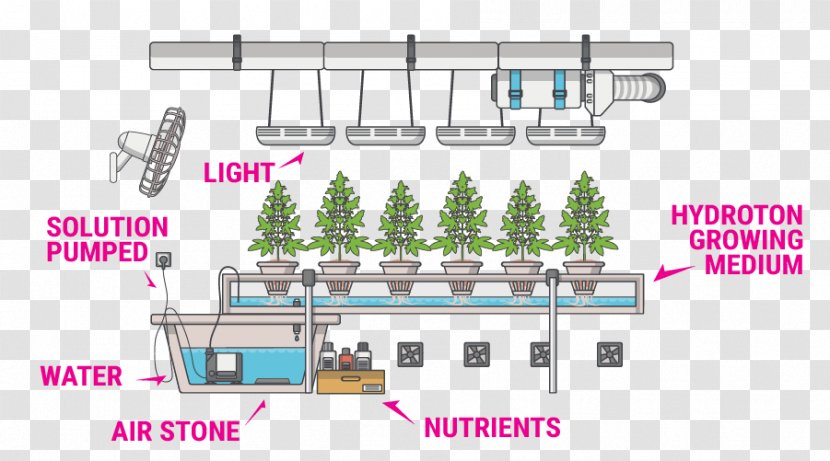 Nutrient Hydroponics Cannabis Cultivation Hidrokültür - System Transparent PNG