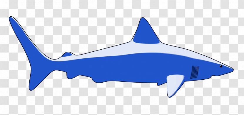 Blender Download Clip Art - Shark - Star Ocean Transparent PNG