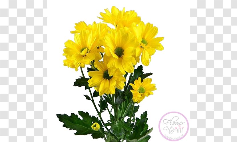 Chrysanthemum Flower Bouquet Yellow Seversk Marguerite Daisy - Cut Flowers Transparent PNG