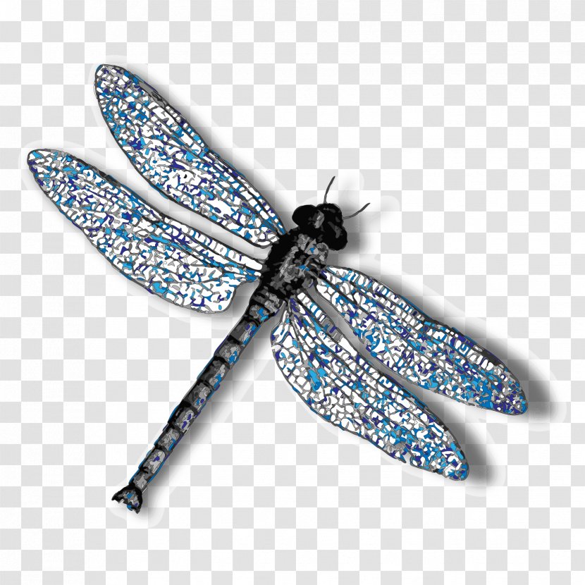 Insect Dragonfly Clip Art - Stock Photography Transparent PNG