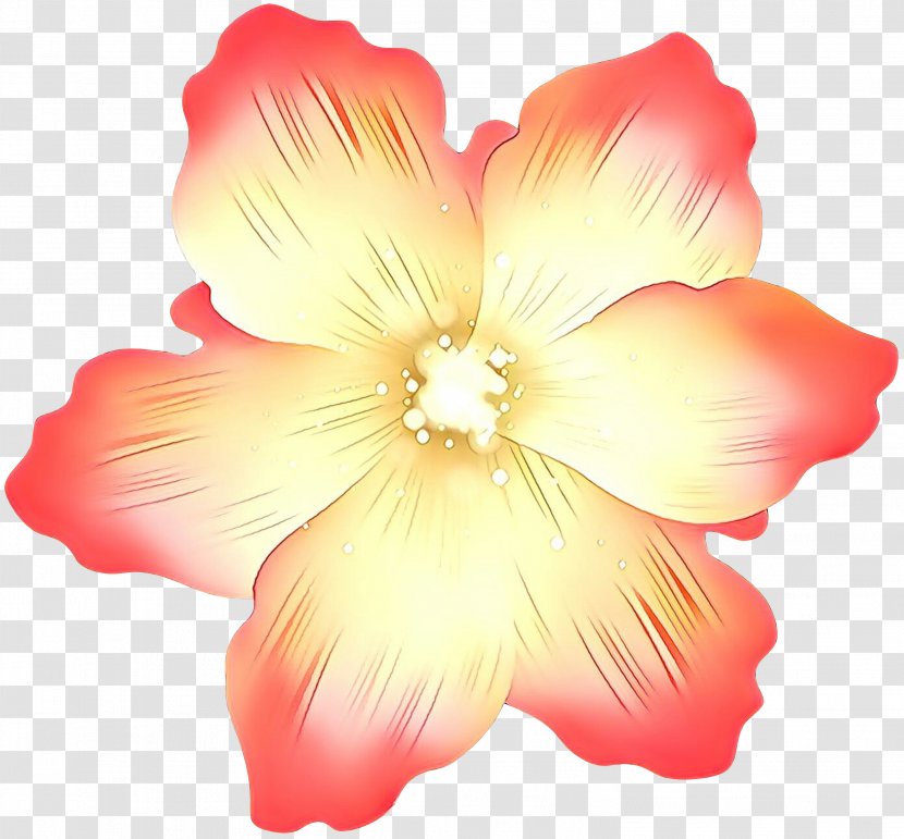 Orange - Pink - Yellow Transparent PNG