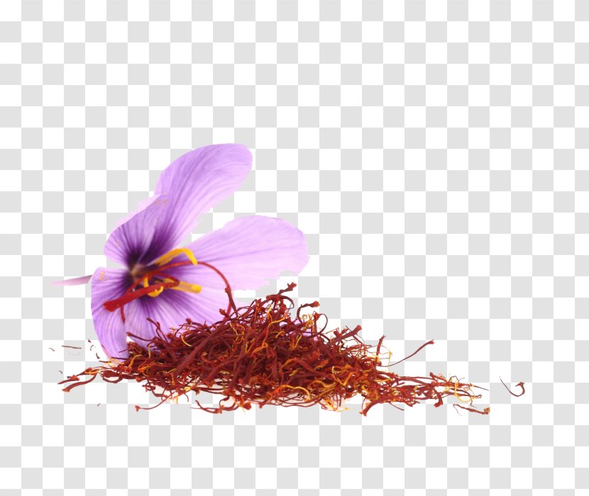 Iranian Cuisine Autumn Crocus Saffron Kashmiri Spice - Sativum - Flower Transparent PNG