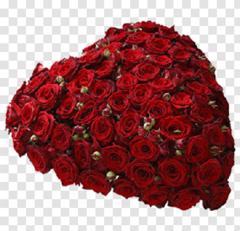 Garden Roses Cut Flowers Floral Design - Rose Transparent PNG