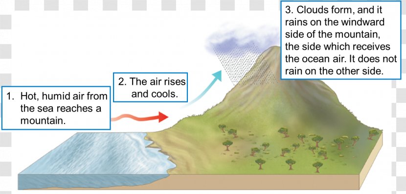 Precipitation Rain Weather And Climate Snow Transparent PNG