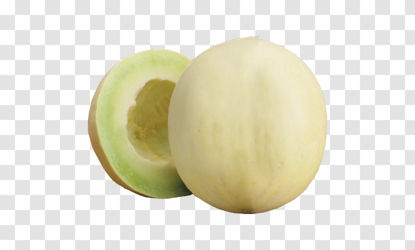 Honeydew Cantaloupe Galia Melon Canary - Pepo - Seeds Peanut Transparent PNG