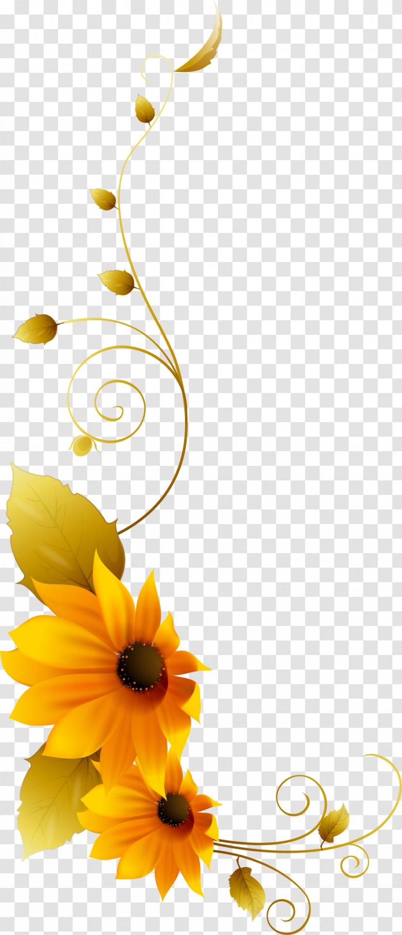 Chrysanthemum Clip Art - Yellow Daisy Flower Vine Pattern Transparent PNG