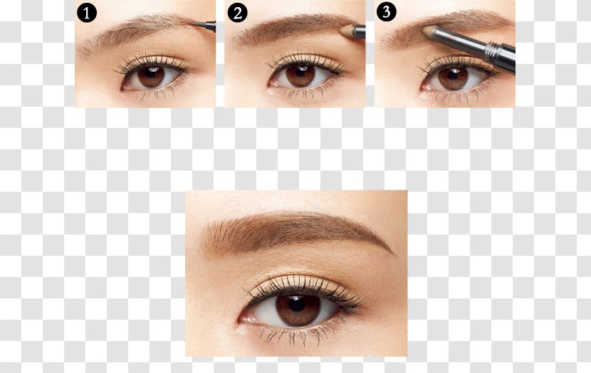 Eyebrow Cosmetics Nose Liquid - Cheek Transparent PNG