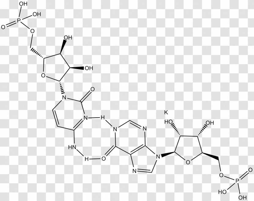 Polyinosinic:polycytidylic Acid Toll-like Receptor TLR3 - Black And White - Inflammation Transparent PNG