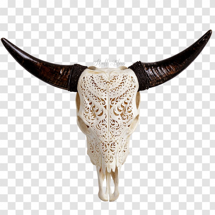 Texas Longhorn Human Skull Symbolism Bull Animal Skulls - Bone Transparent PNG