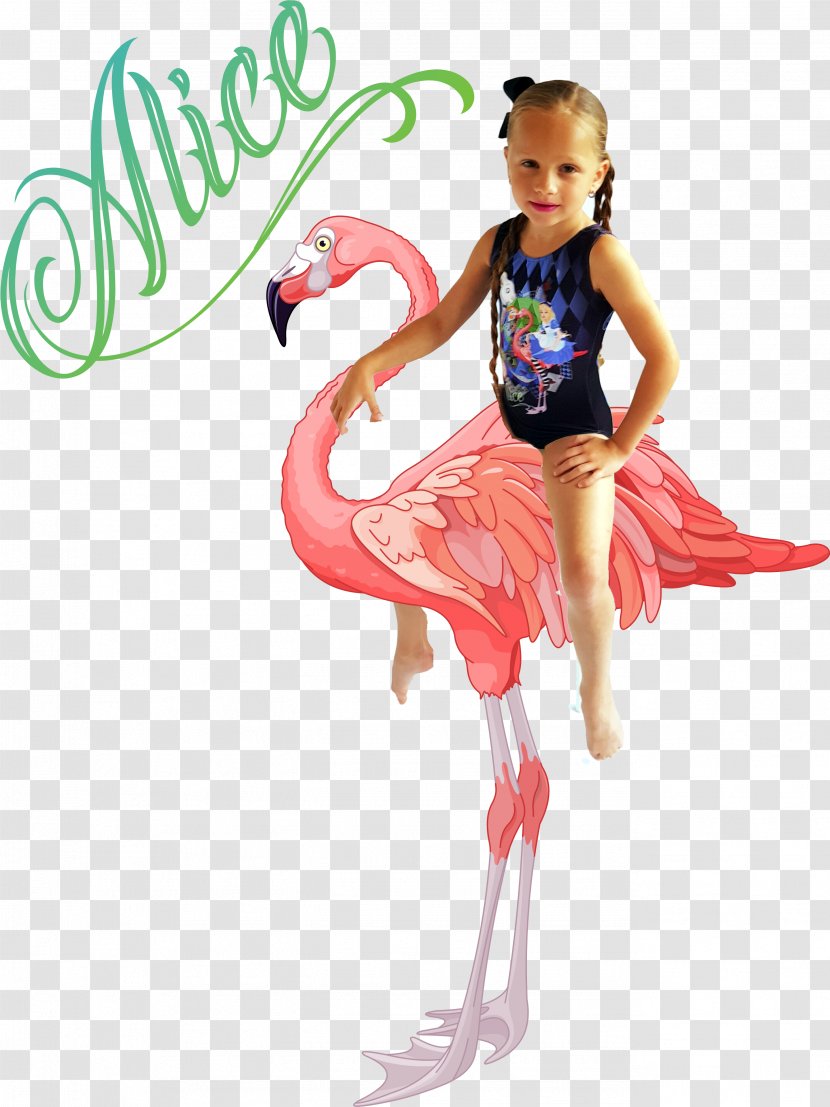 Greater Flamingo Stock Photography - Bodysuits Unitards Transparent PNG