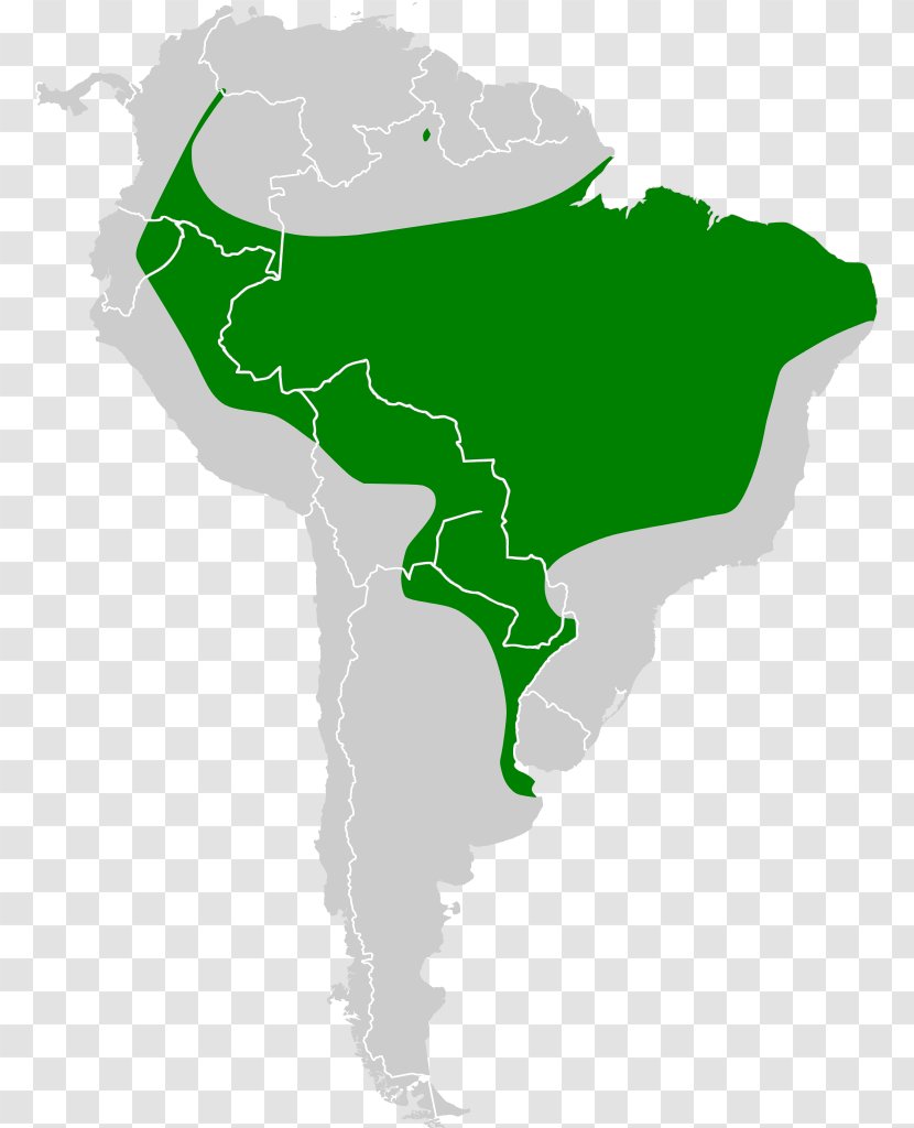 South America United States Of Map Globe Transparent PNG