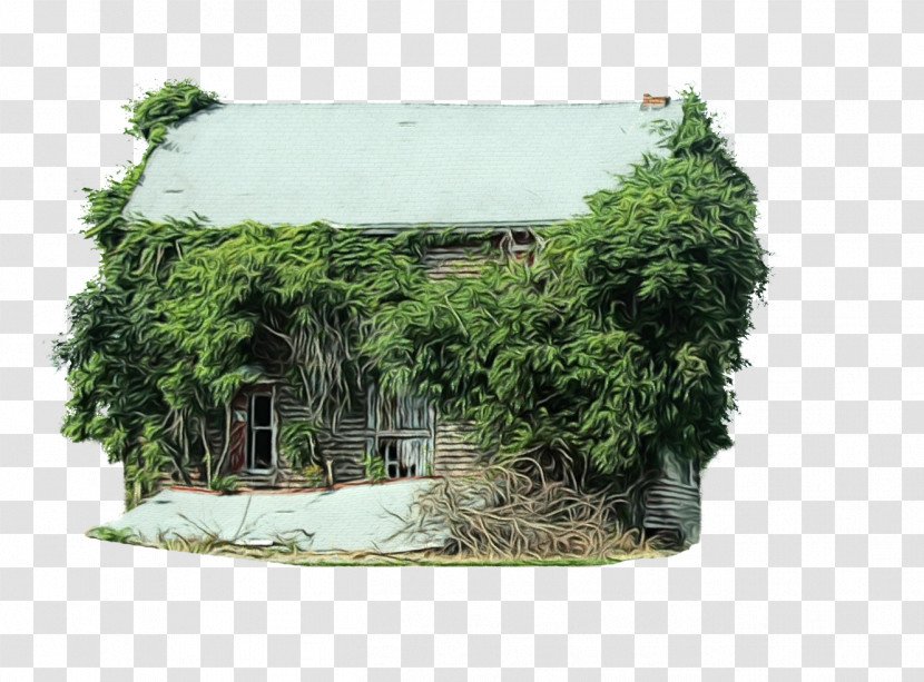 Property Tree House Of M Transparent PNG