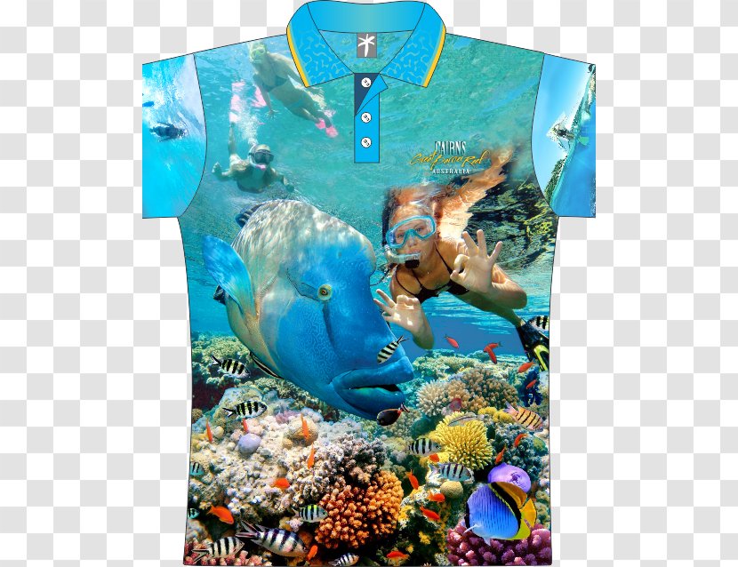 Coral Reef Marine Biology Underwater - T Shirt - Great Barrier Transparent PNG