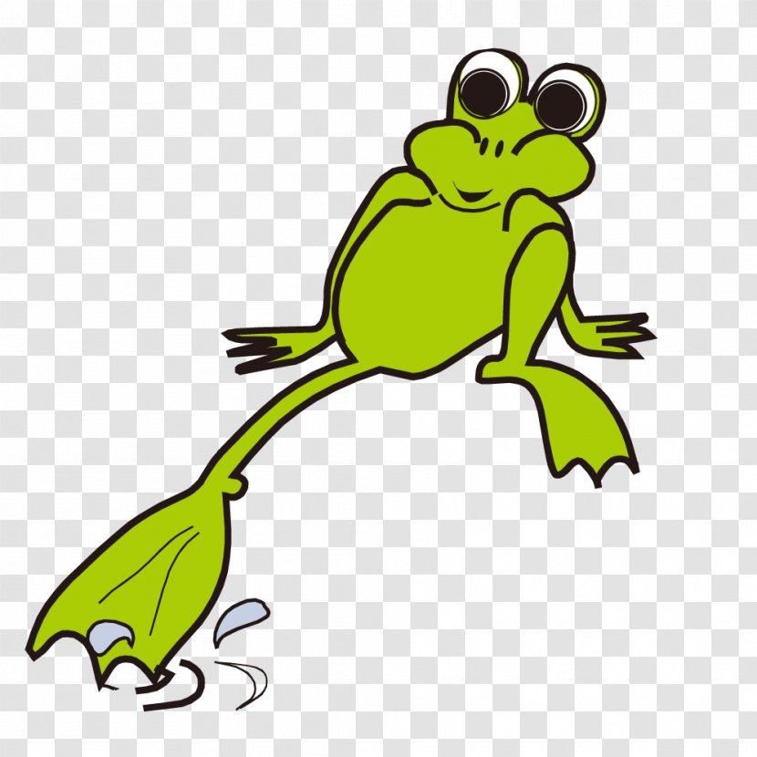 Frog Amphibian Clip Art - Tree - Splashing Vector Transparent PNG