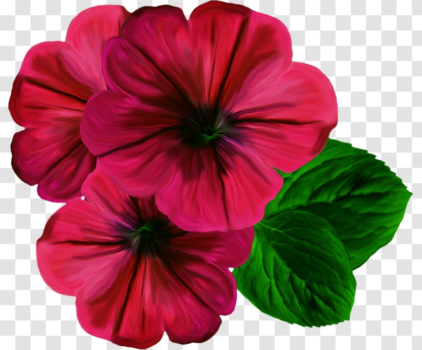 Flower Color Photography Clip Art - Digital Image Transparent PNG