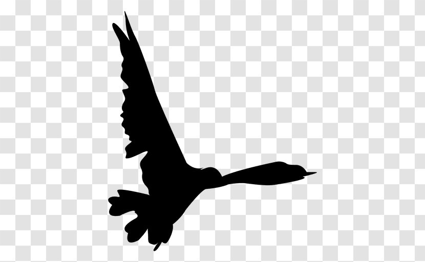 Bird Flight Clip Art - Eagle - Seagulls Siloutte Transparent PNG