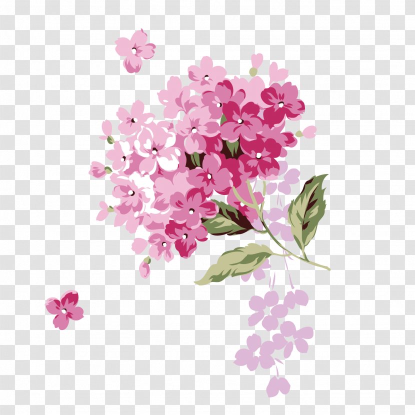 Flower Adobe Illustrator Download - Verbena - Vector Japanese Cherry Blossoms Transparent PNG