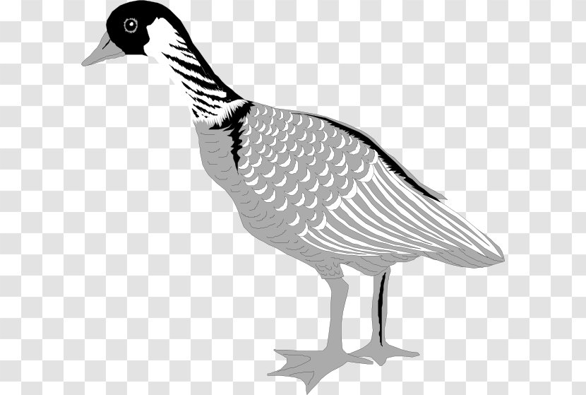 Greylag Goose Bird Cygnini Clip Art - Ganso Transparent PNG