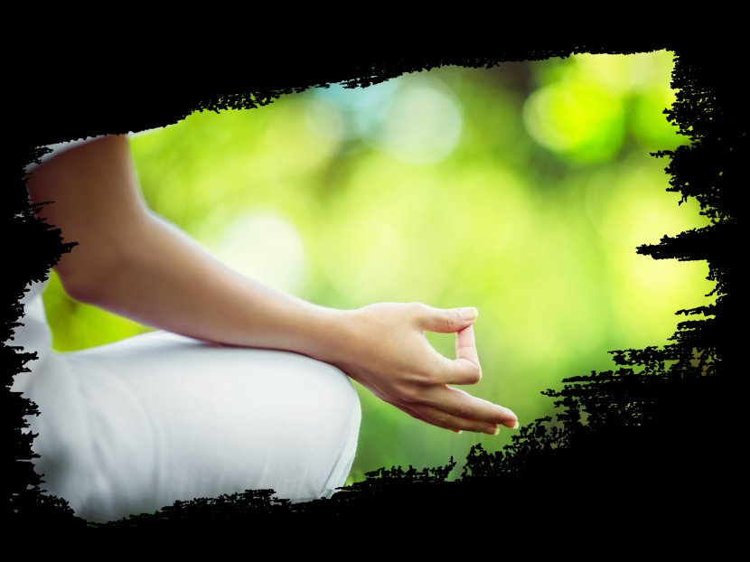 Yoga Alternative Health Services Detoxification Meditation - Education Transparent PNG