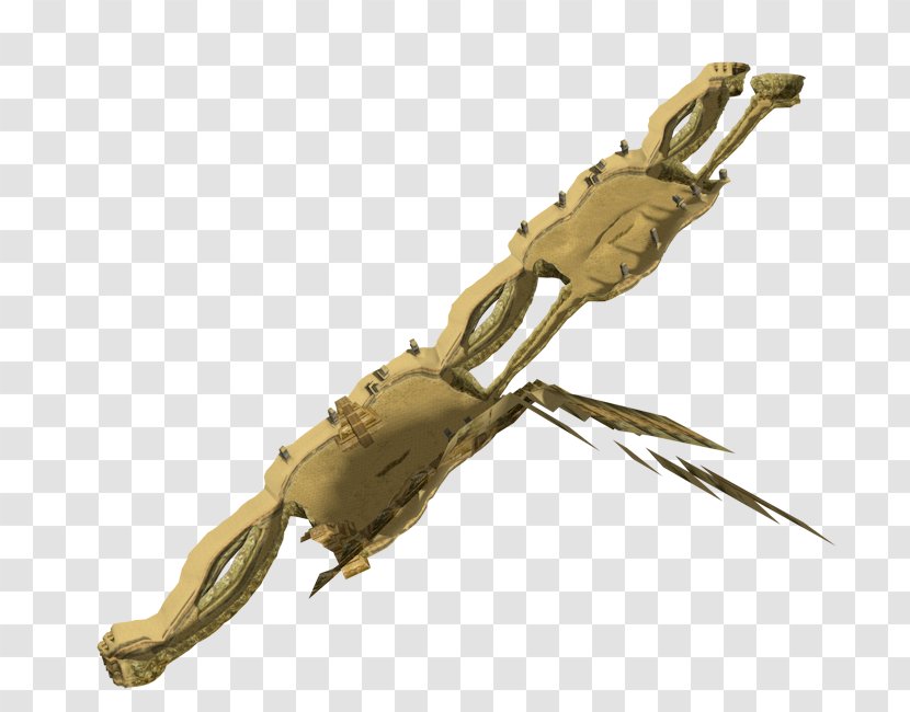 Weapon Decapods - Decapoda - Sand Hill Transparent PNG