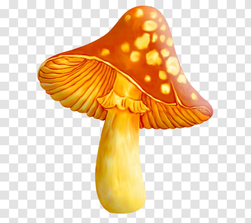 Edible Mushroom Fungus Clip Art Hunting - Stuffed Mushrooms Transparent PNG