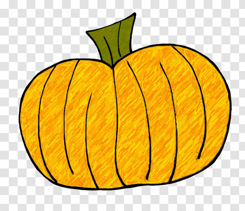Calabaza From Seed To Jack-o-lantern Pumpkin Clip Art - Winter Squash - Green Cliparts Transparent PNG
