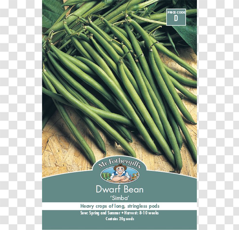 Allium Fistulosum Vegetarian Cuisine Green Bean Vegetable Welsh Transparent PNG
