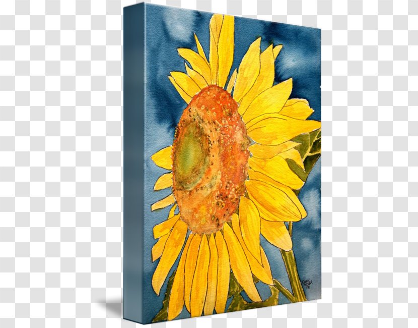 Common Sunflower Watercolor Painting Art Drawing - Acrylic Paint - Flowers Print Transparent PNG