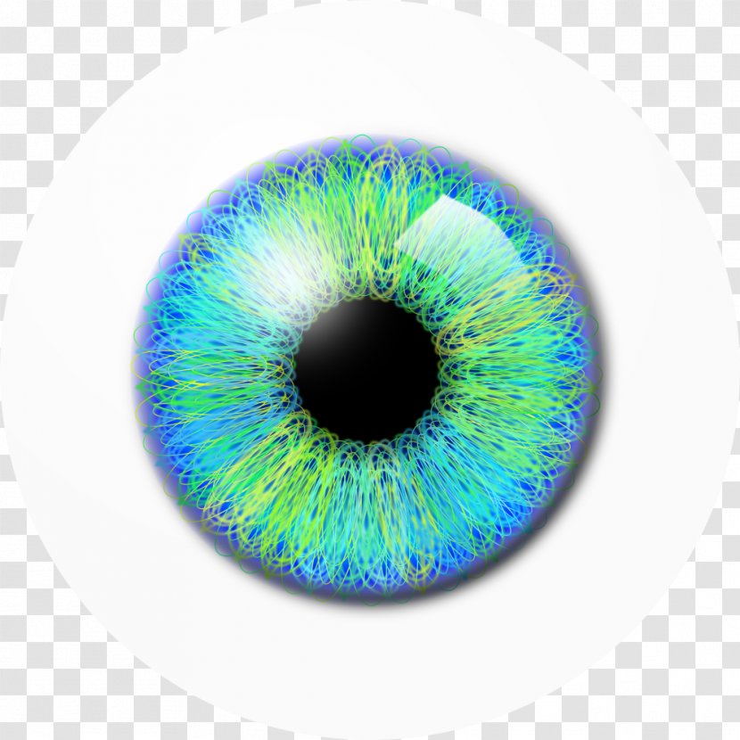 Eye Clip Art - Frame - Blue-green Eyes Pupil Transparent PNG