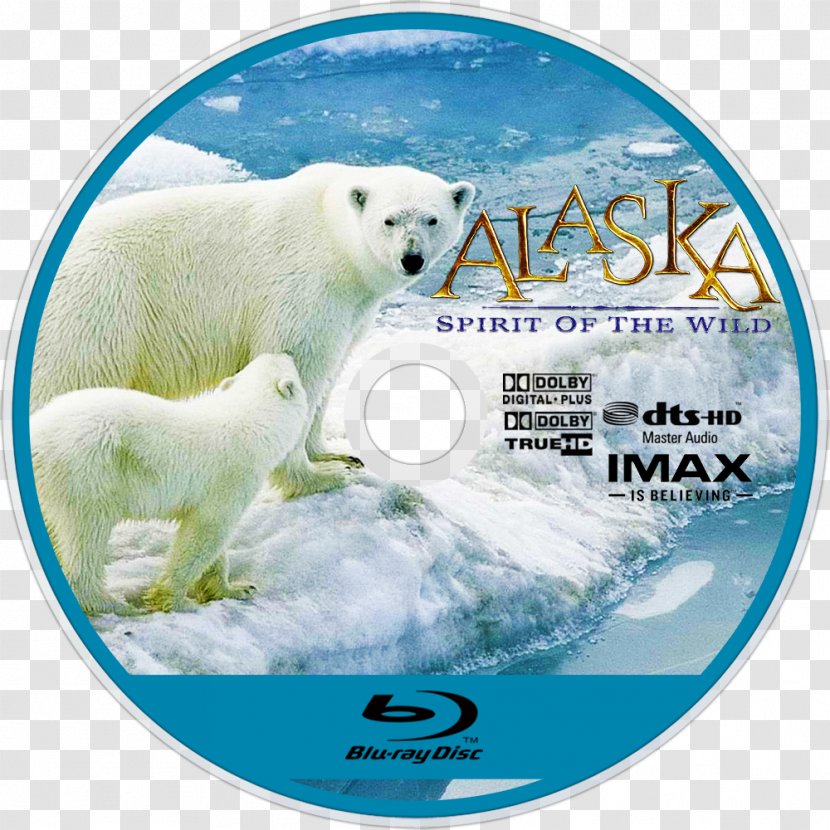 Polar Bear Blu-ray Disc 09738 Ice Cap - Bluray Transparent PNG