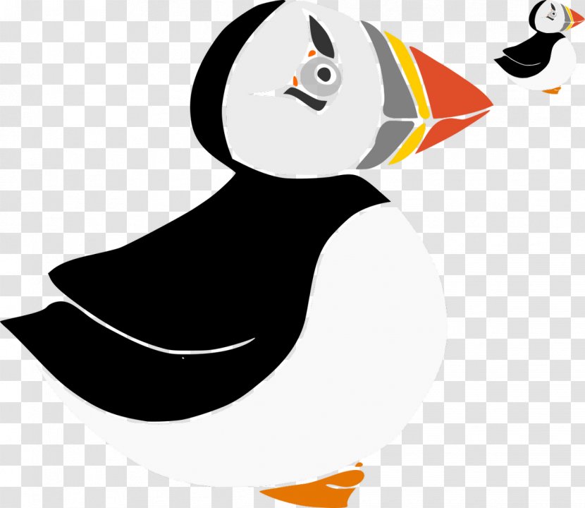 Duck Cartoon - Seabird - Auk Flightless Bird Transparent PNG