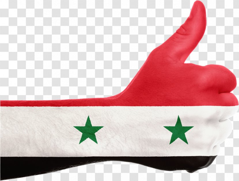French Mandate For Syria And The Lebanon Flag Of Coat Arms - Gallery Sovereign State Flags Transparent PNG