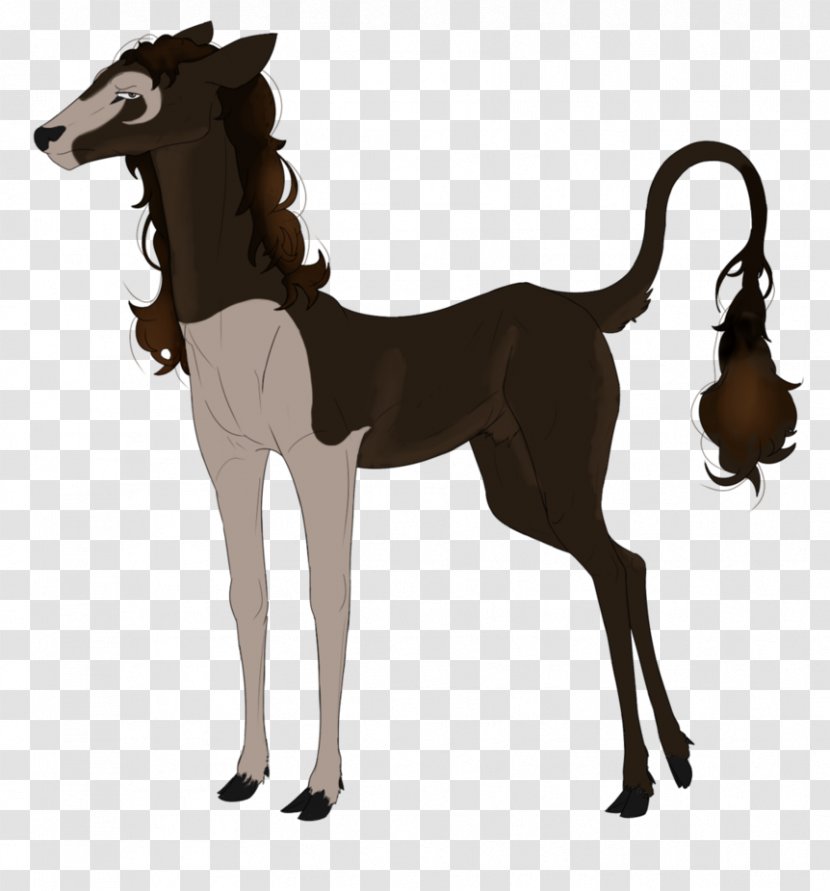 Mustang Foal Colt Stallion Pony - Horse Transparent PNG