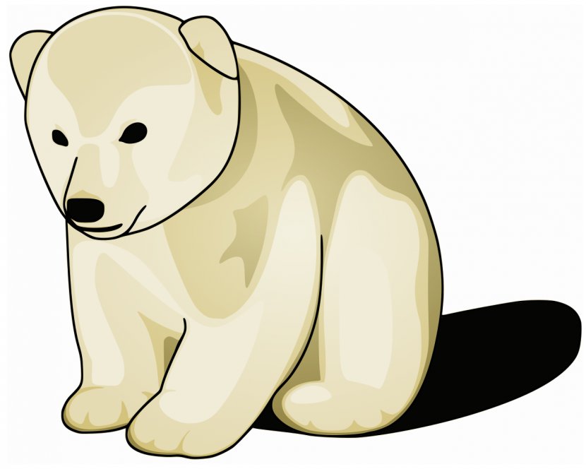 Polar Bear Brown Raccoon Animal - Snout Transparent PNG