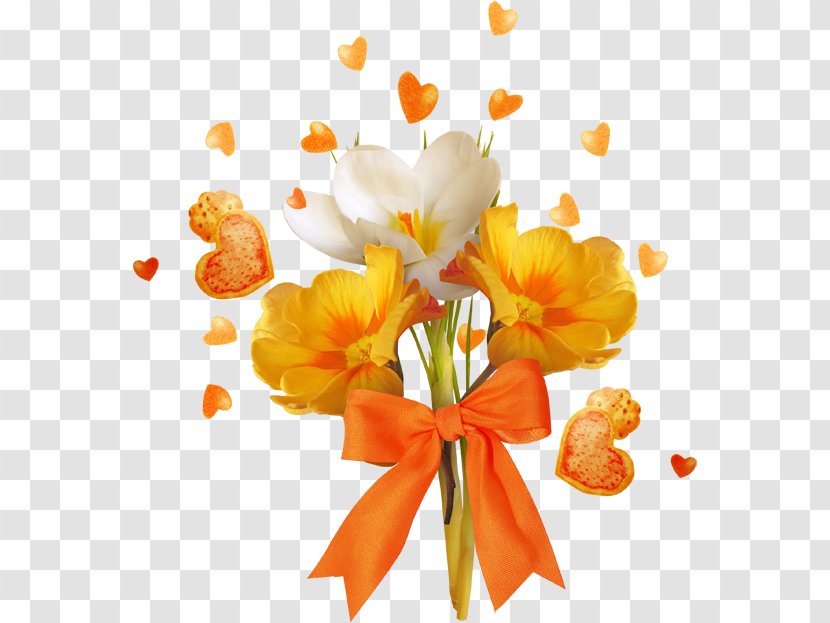 Flower Clip Art - Orange Transparent PNG
